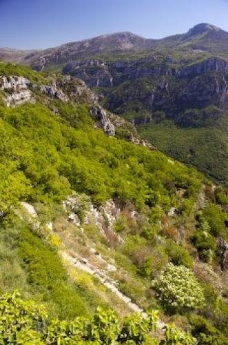Photo: 
Gorges Du Loup Alpes Maritimes Provence France