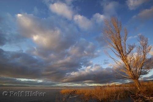 Photo: 
Great Salt Lake Sunset Photo