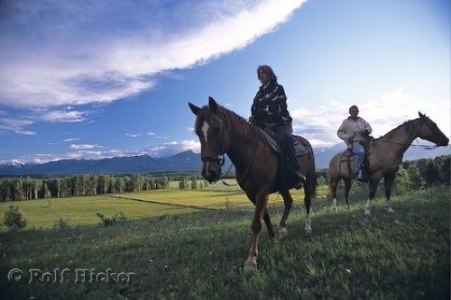 Photo: 
horseriding
