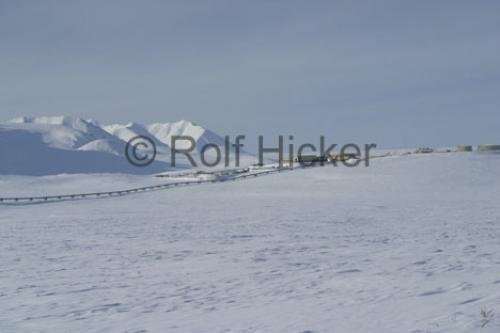 Photo: 
alaska oil pipeline arctic winter