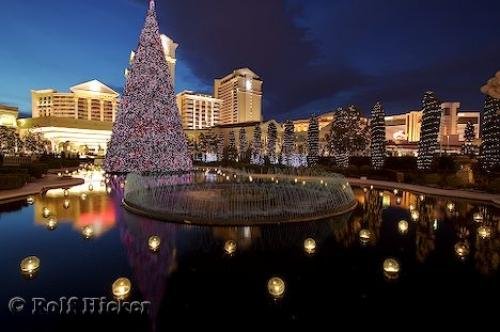 photo of caesars place in las vegas nevada ready for christmas with images of decorations reflecting off the water - Las Vegas Christmas Decorations photo of caesars place in las vegas nevada ready for christmas with images of decorations reflecting off the water - Las Vegas Christmas Decorations