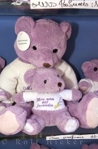 Photo: 
Lavender Teddy Bears