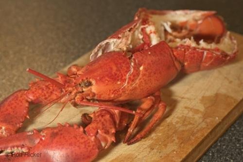 Photo: 
Picture of a Lobster Meal
