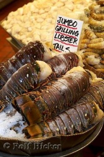 Photo: 
lobster tails