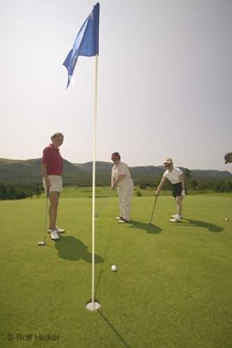 Photo: 
golfing images