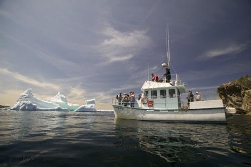 Photo: 
iceberg tours