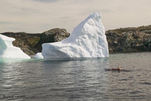 Photo: 
Kayak Adventures Icebergs Newfoundland