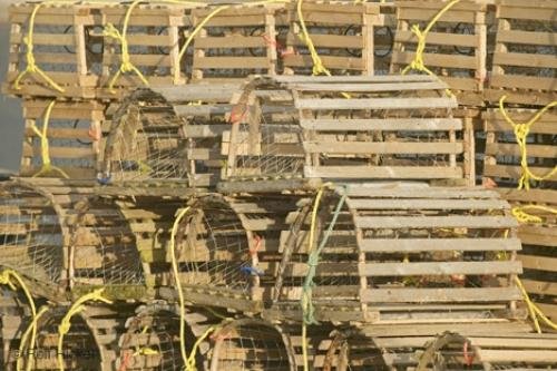 Photo: 
lobster traps