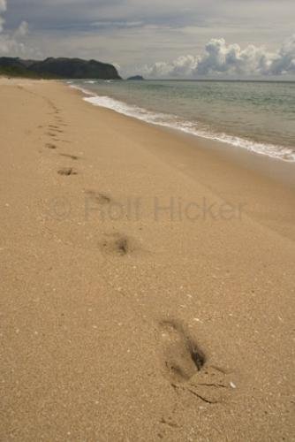 Photo: 
Footsteps Sandy Beach Vacation