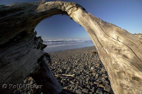 Photo: 
Oregon Coast Pictures