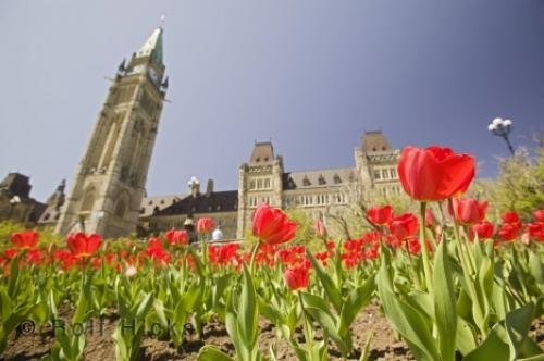 Photo: 
Parliament Hill Ontario
