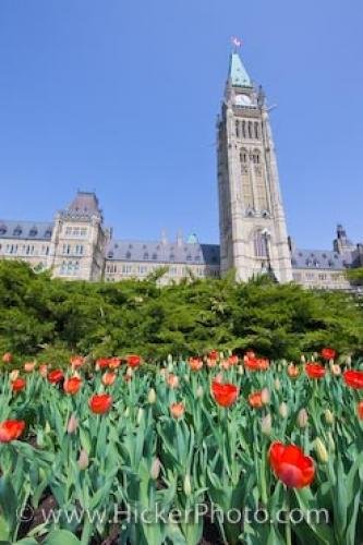 Photo: 
Centre Block Peace Tower Parliament Hill Ottawa Ontario Canada