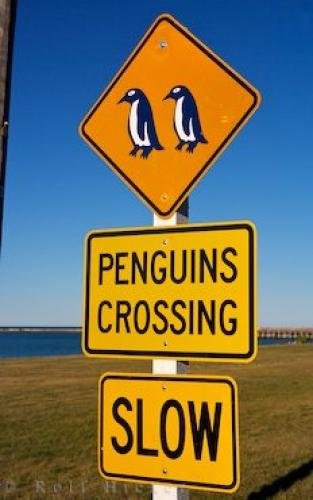 Photo: 
Penguin Crossing Sign Otago New Zealand