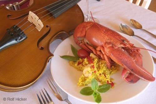 Photo: 
Lobster fiddle Pictures Of Food