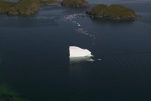 Photo: 
aerial photograph iceberg newfoundland