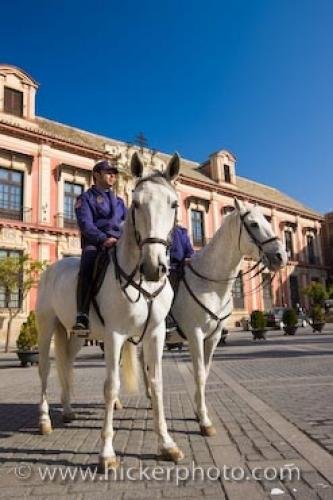 Photo: 
Policemen Horseback Riding Sevilla Andalusia