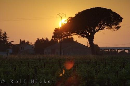 Photo: 
Bouches Du Rhone Provence Sunset
