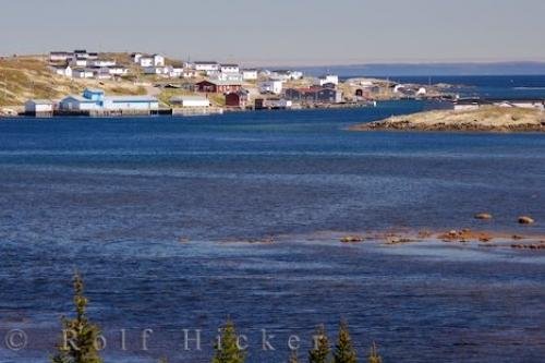Photo: 
Red Bay Labrador