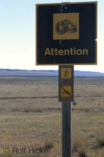 Photo: 
snake warning sign