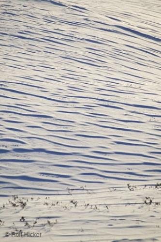 Photo: 
Snow Dune