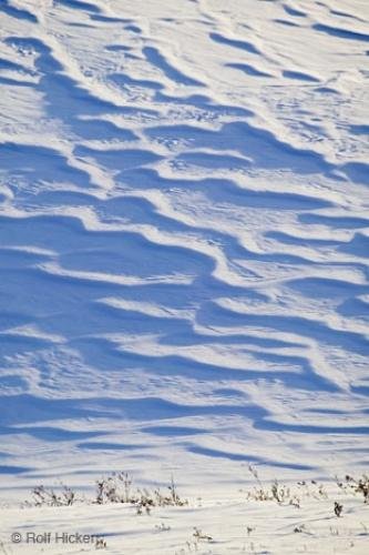 Photo: 
snow dunes