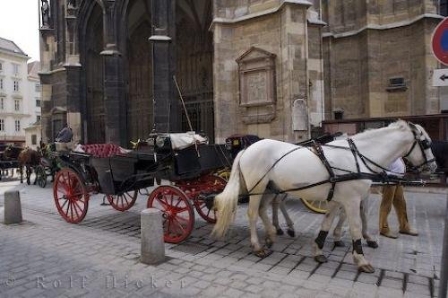 Photo: 
Stephansdom Cathedral Horse Buggies Austria