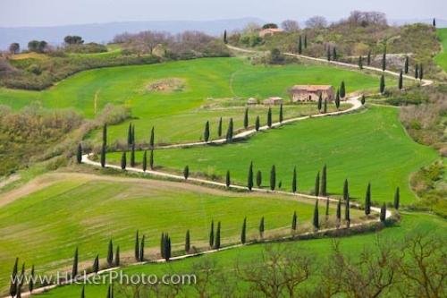 Photo: 
Tuscany Landscape Province Of Siena Italy