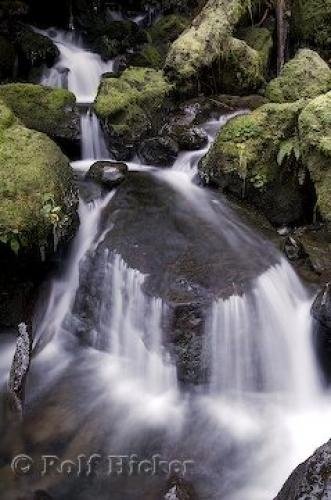 Photo: 
waterfalls olympic peninsula