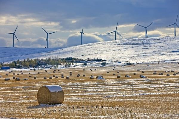 Photo: 
Alternative Energy Windmills Winter Alberta Canada