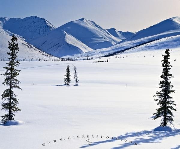 Photo: 
Arctic Alaska Winter Landscape