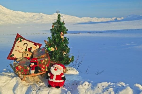 Photo: 
Christmas Gifts Landscape Alaska Photo