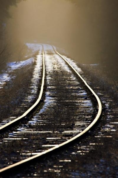 Photo: 
Picture Of Ice Fringed Railway Tracks