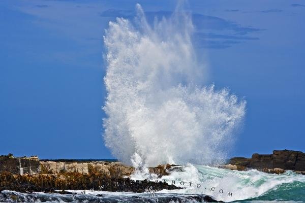 Photo: 
Wave Picture Pacific Ocean Coastline Catlins New Zealand