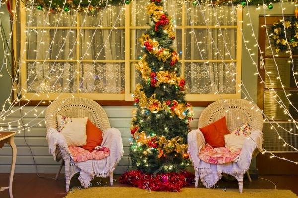 Photo: 
Elegant Decorated Christmas Lights And Tree Scene