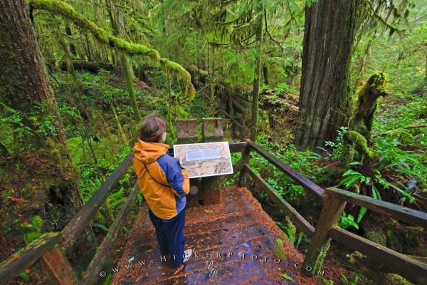 Photo: 
Tourist Exploring Rainforest Pacific Rim National Park