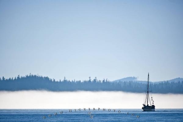 Photo: 
Sailboat Fog Vancouver Island