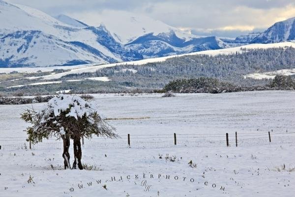 Photo: 
Snowy Landscape Rocky Mountains Canada