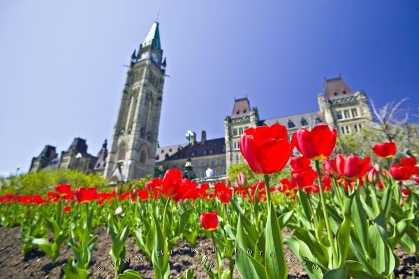 Photo: 
Travel Ottawa