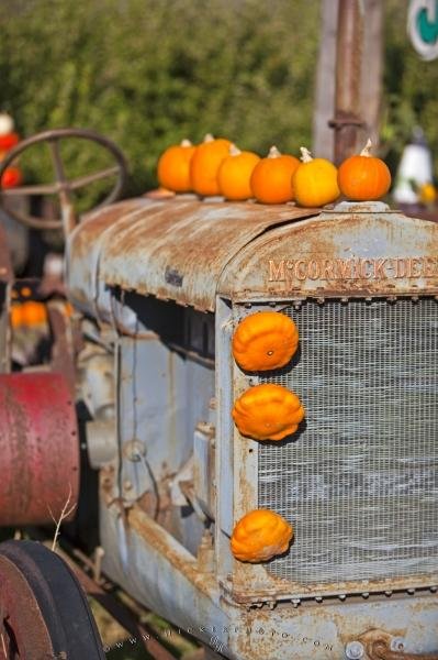 Photo: 
Funny Vintage Tractor Pumpkin Picture