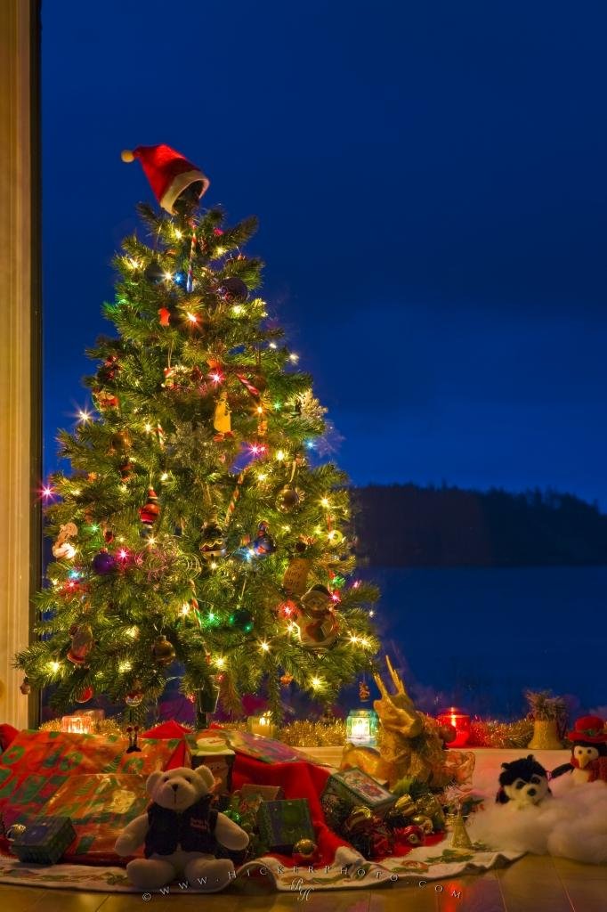 Christmas Card Photo Information