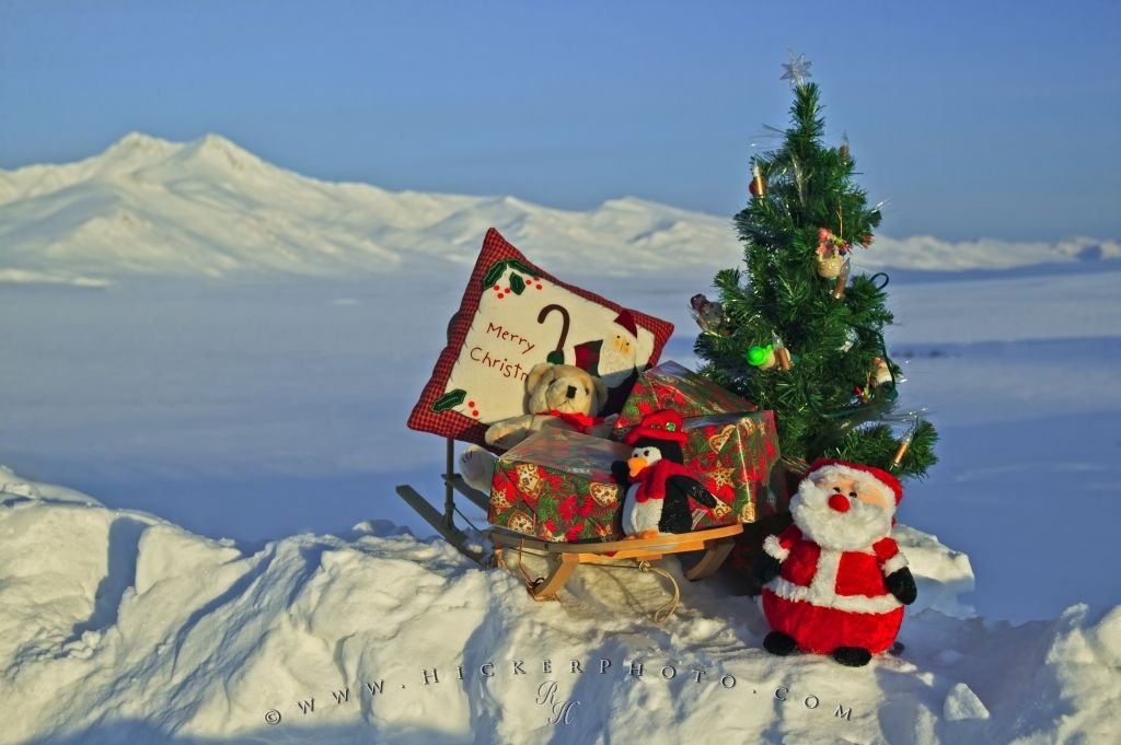 Christmas Scenery | Photo, Information