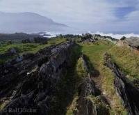 Stock photo of Tsitsikamma National Park in South Africa