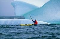 A very unique experience is an adventurous sea kayaking tour along Iceberg Alley in the Atlantic Ocean of the Newfoundland Labrador coast in Canada.
