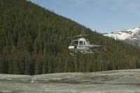 A great to see the vast Alaska wilderness is by helicopter tour over stretches of glacier icefields and forests.