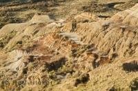 Dinosaur Provincial Park is a worthwhile Alberta attraction while traveling in Canada.