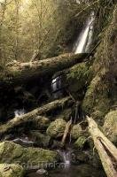 The Olympic Peninsula in the American state of Washington is abundant with waterfalls, lakes, and rivers.
