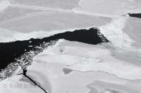 It is an interesting sight to see the ice formation of the pack ice in the Gulf of St Lawrence, Canada.