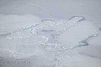 An interesting pattern forms in the pack ice in the arctic regions of Canada.