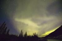 The curtain of the Aurora Borealis cannot hide the stars in the sky looking down on the trees along the Alaska Highway.