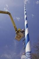 The Bavarian people use a crane to help secure business signs at the Maibaumfest in Putzbrunn, Germany.